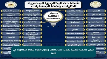 فرص جامعية متميزة لطلاب مسار الطب وعلوم الحياة بنظام البكالوريا في 2025